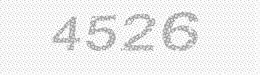 Visual security code — type the characters shown in the image