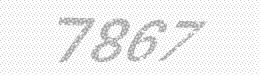 Visual security code — type the characters shown in the image